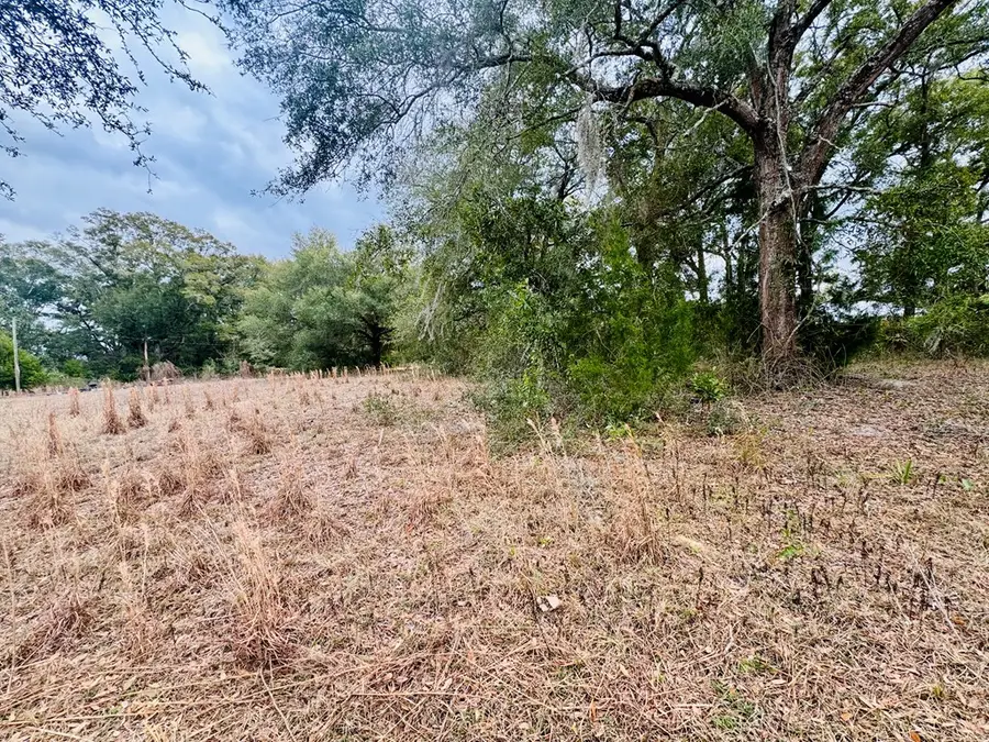 3543 Durden Ave, Bell, FL 32619 - #3