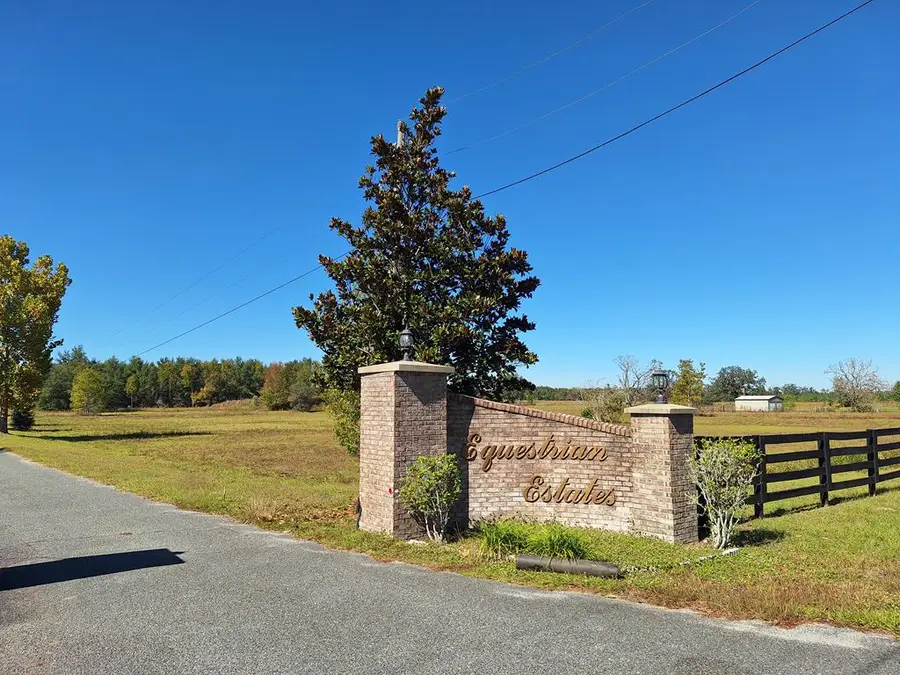 TBD 00 194th Place, Suwannee, FL 32071 - #2