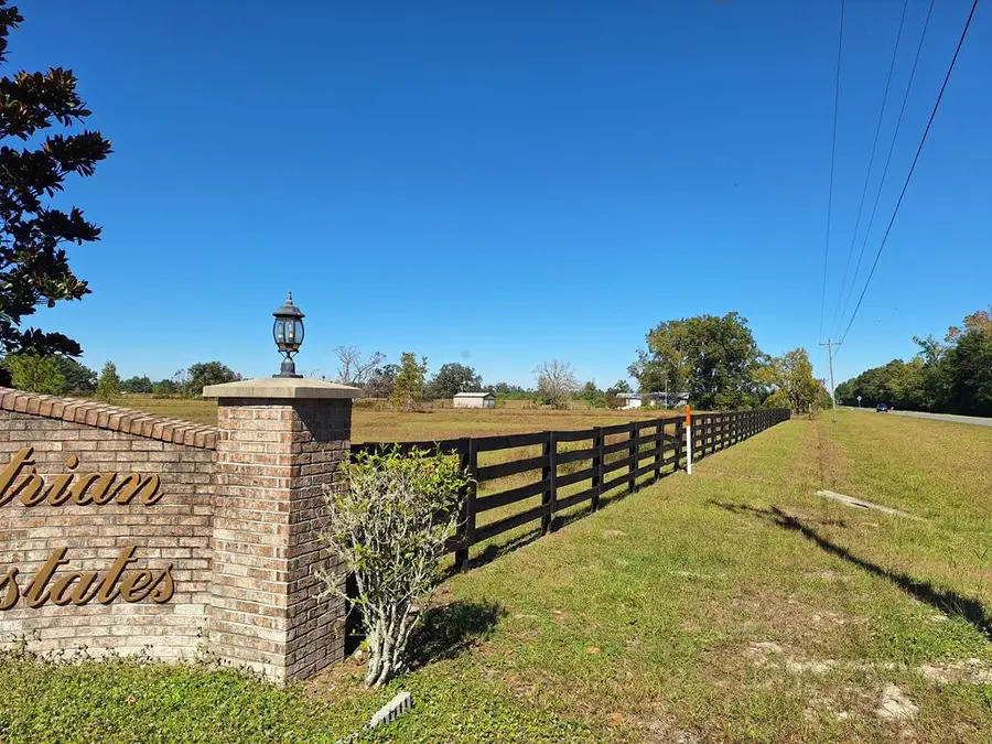 TBD 00 194th Place, Suwannee, FL 32071 - #3