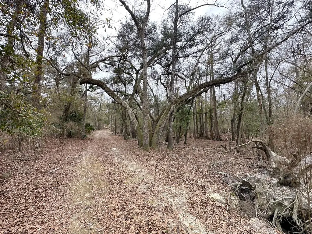 7875 SW County Road 344, Bell, FL 32619 - #1