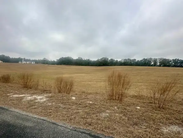 NW 31st Ave, Bell, FL 32619