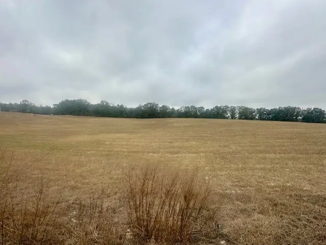 NW 31st Ave, Bell, FL 32619 - #2