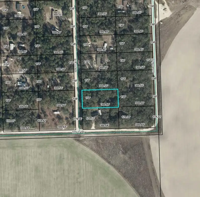 NW 11th Ave, Bell, FL 32619 - #2