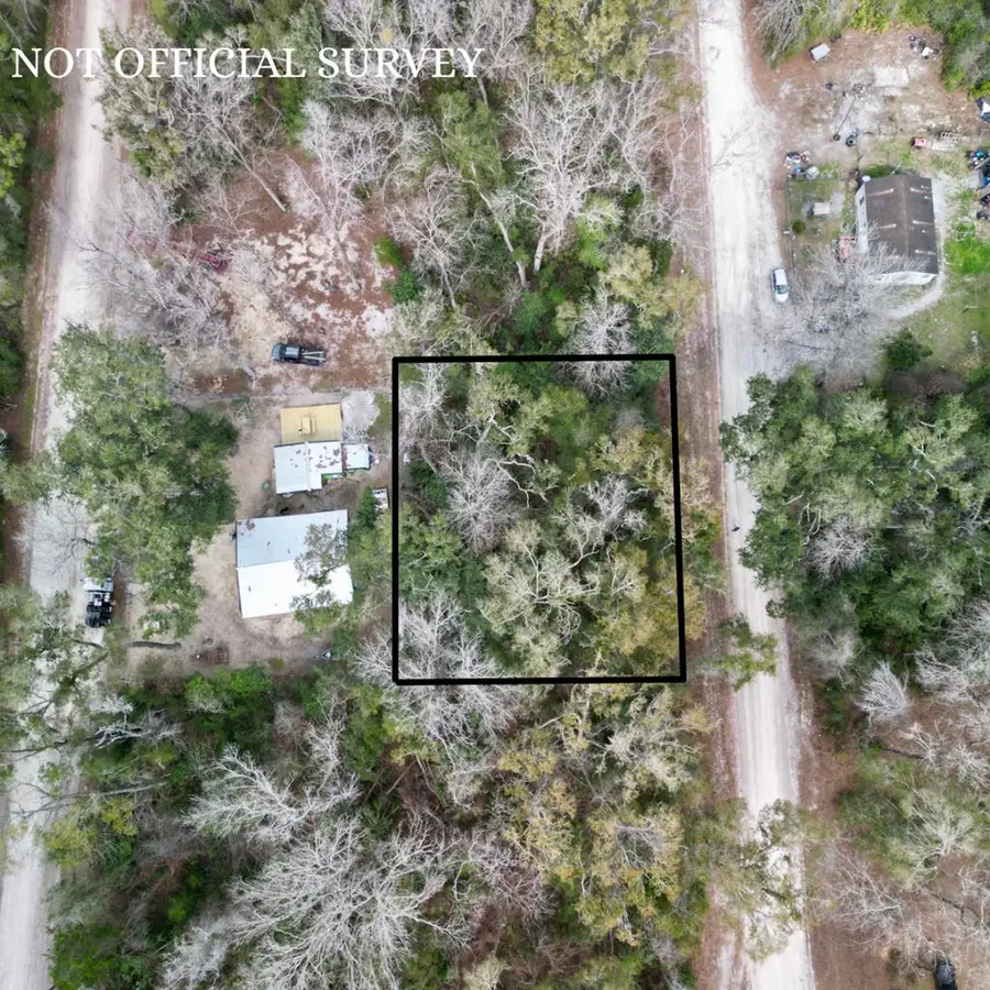 SE 929th St, Old Town, FL 32680 - #3