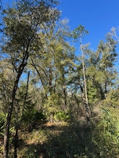 708th Ave, Old Town, FL 32680 - #2