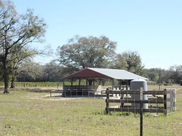 566 NE Magnolia, Branford, FL 32008