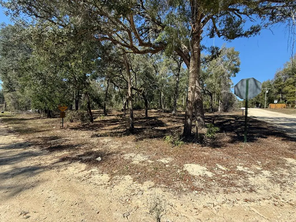 7711 NW 150th Ln, Trenton, FL 32693 - #1