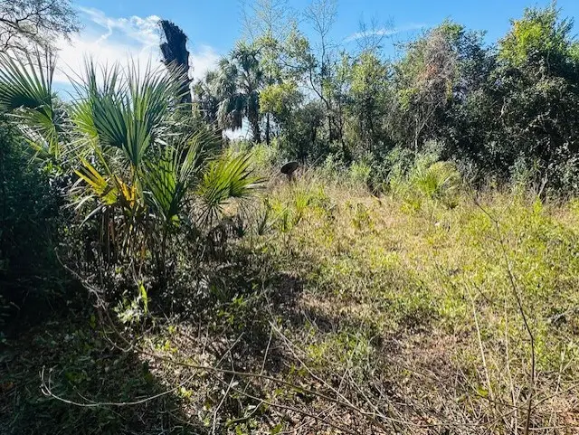 1219 N Paris St, Bell, FL 32619 - #3