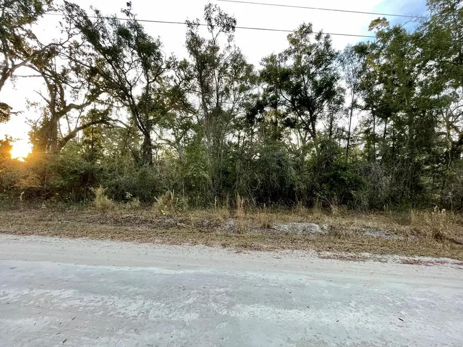 Lot 19 NE 497th St, Old Town, FL 32680 - #3