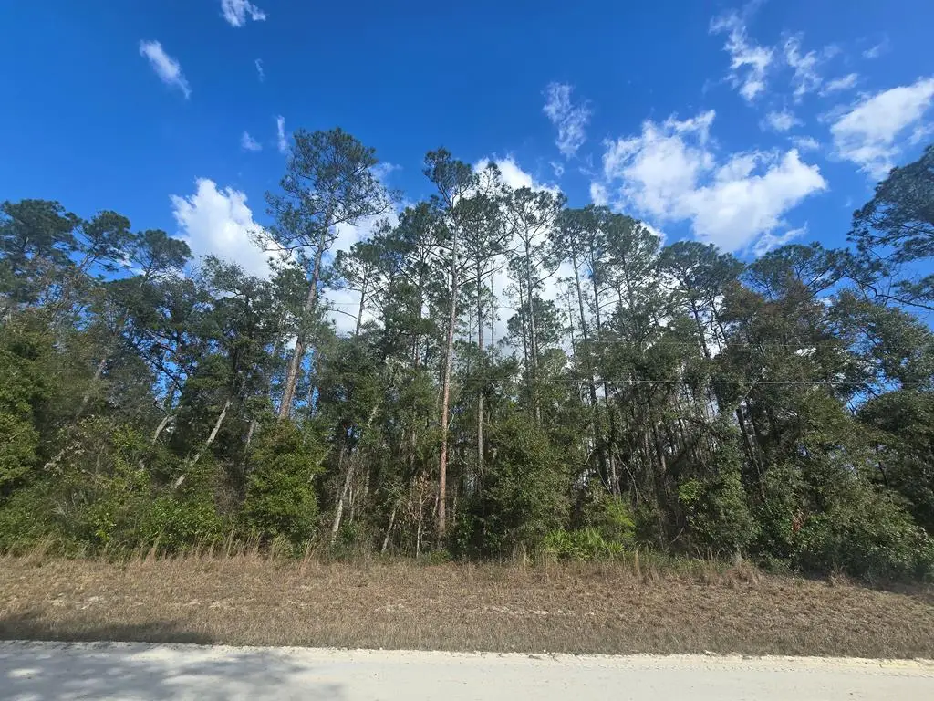 Lot 20 NE 796th St, Cross City North, FL 32686 - #1