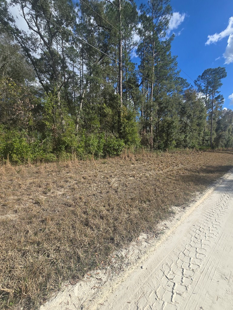 Lot 20 NE 796th St, Cross City North, FL 32686 - #2