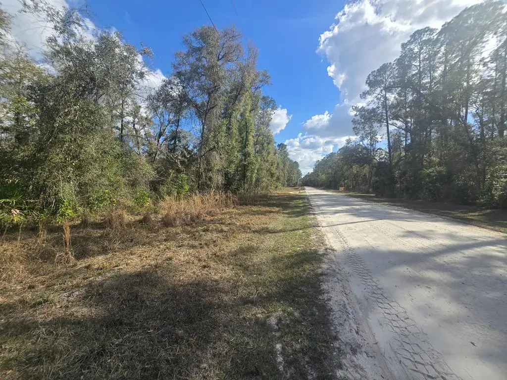 Lot 21 NE 796th St, Old Town, FL 32680 - #1