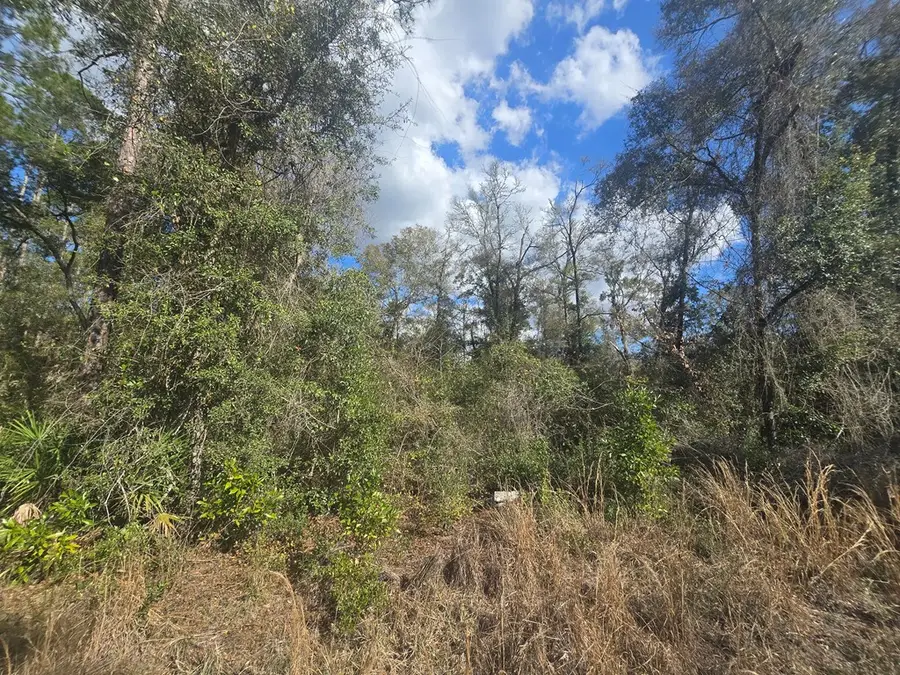 Lot 21 NE 796th St, Old Town, FL 32680 - #2