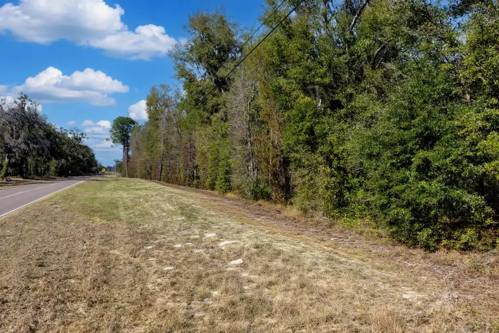 NE County Road 339, Trenton, FL 32693 - #1