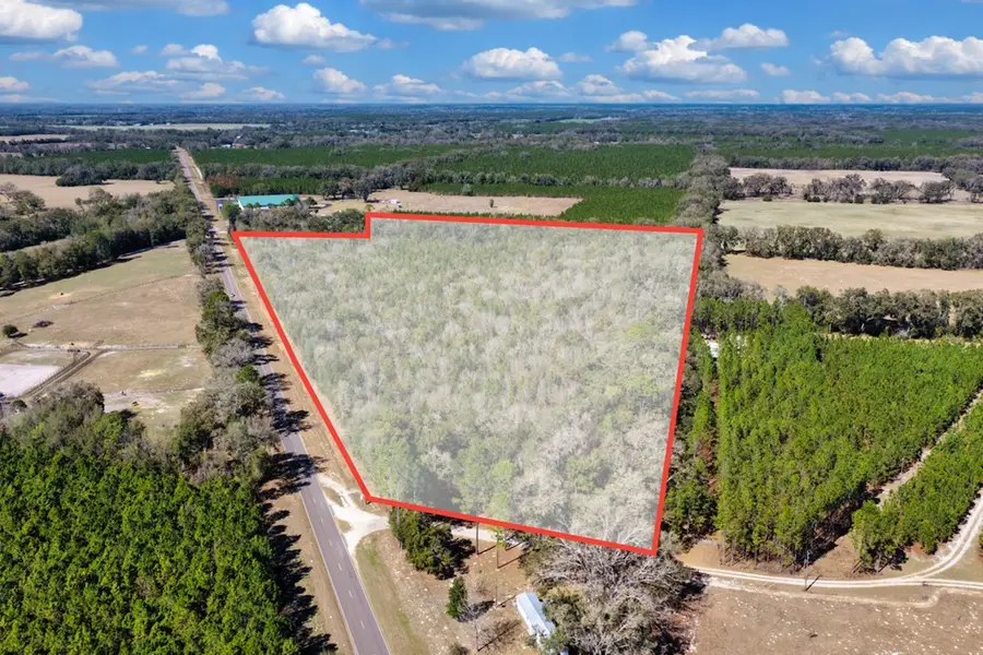 NE County Road 339, Trenton, FL 32693 - #2
