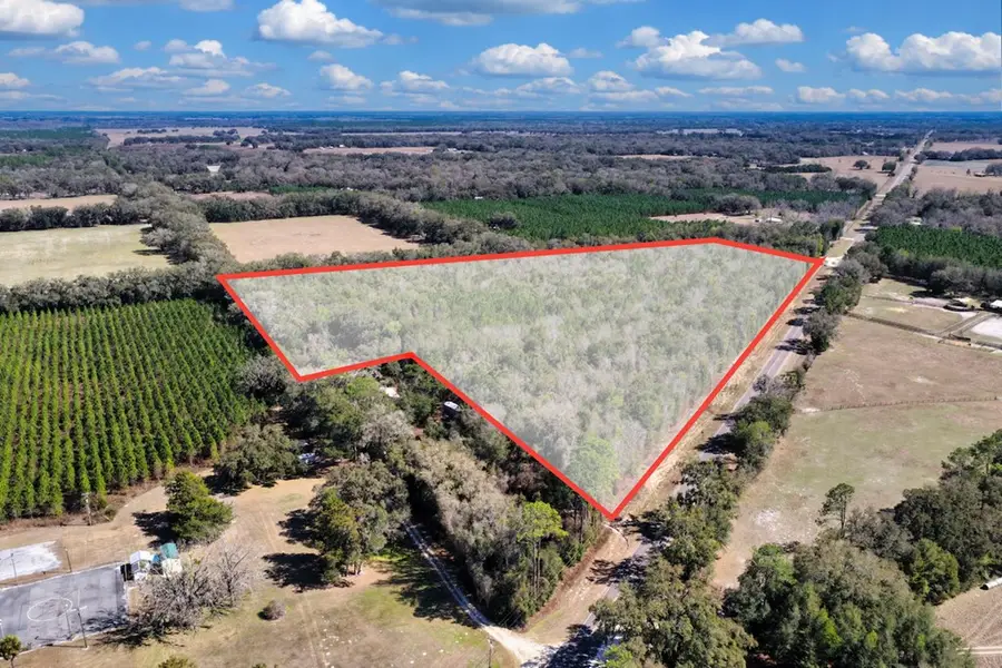 NE County Road 339, Trenton, FL 32693 - #3
