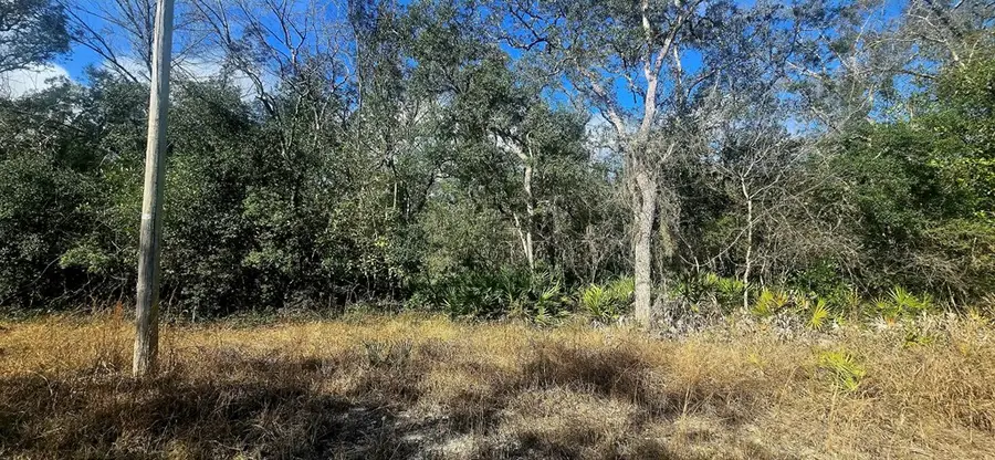 SE 181st Ave, Old Town, FL 32680 - #3