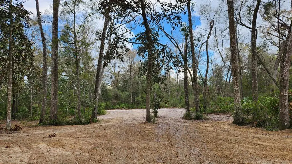 00 NW 75th Ave, Chiefland, FL 32626 - #1