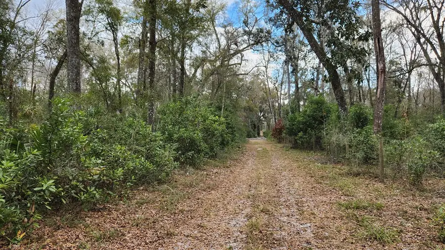 00 NW 75th Ave, Chiefland, FL 32626 - #3