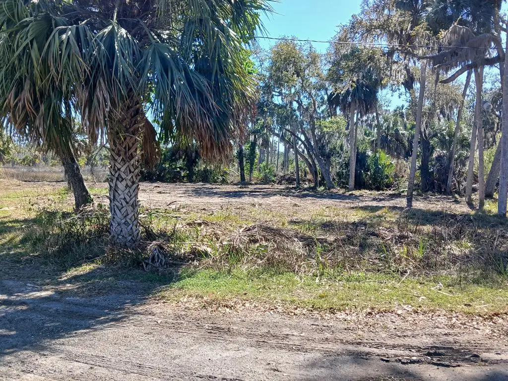 88 SE 255th St, Old Town, FL 32680 - #1