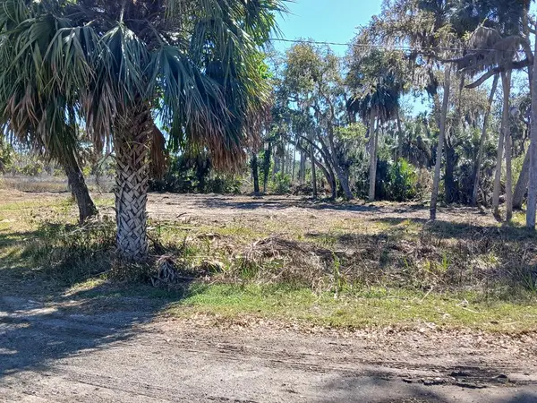 88 SE 255th St, Old Town, FL 32680