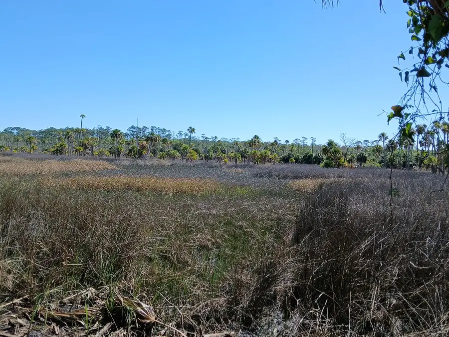 88 SE 255th St, Old Town, FL 32680 - #3