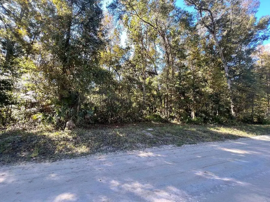 Lot 11 NE 327th Ave, Old Town, FL 32680 - #3