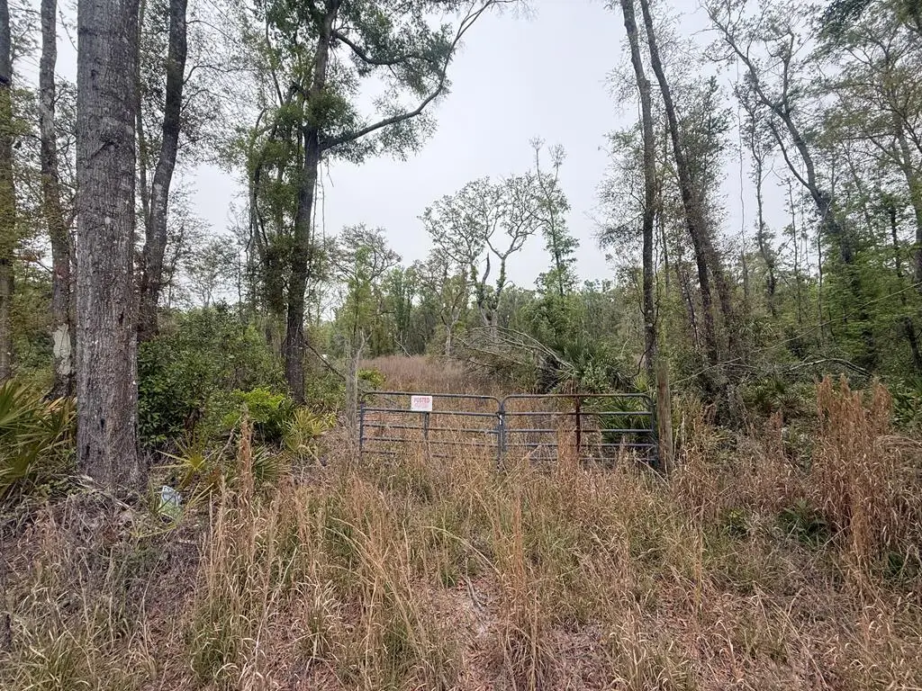 LOT 12 NE 355th Ave, Old Town, FL 32680 - #1