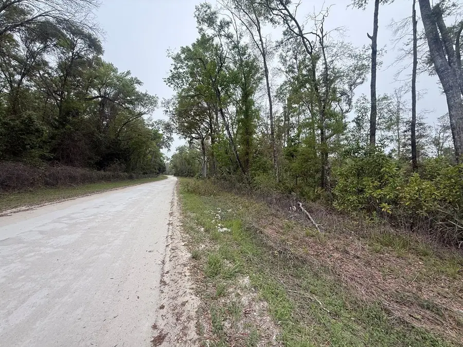 LOT 12 NE 355th Ave, Old Town, FL 32680 - #3
