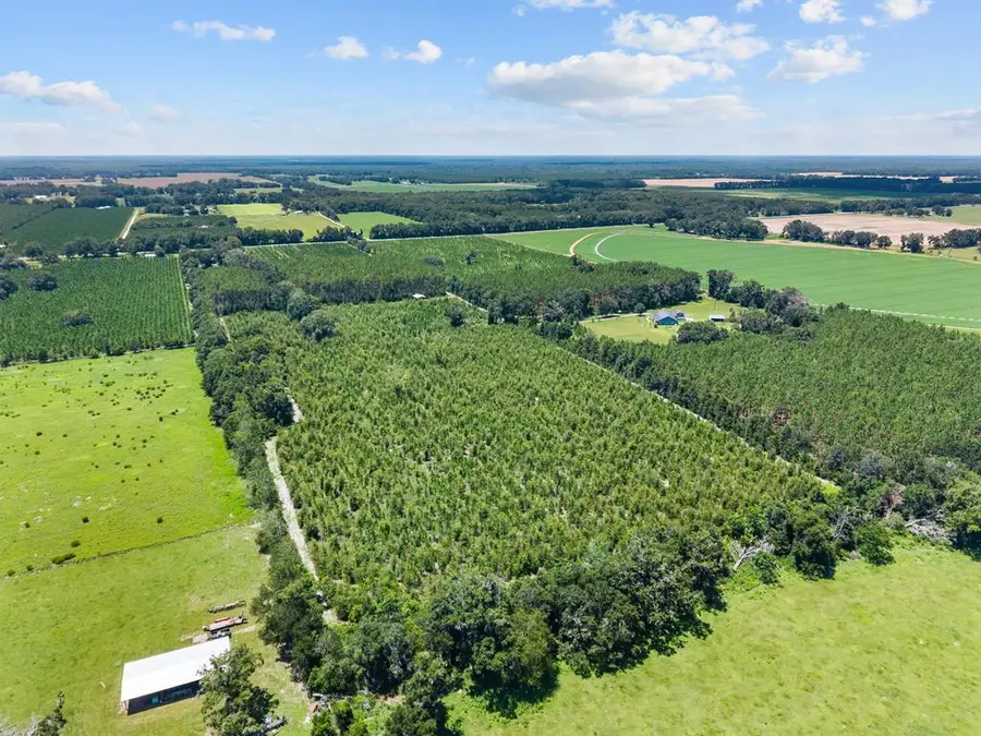 0 SW County Road 341, Bell, FL 32619 - #2