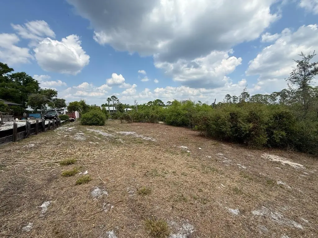 TBD Susan St, Cedar Key, FL 32625 - #1