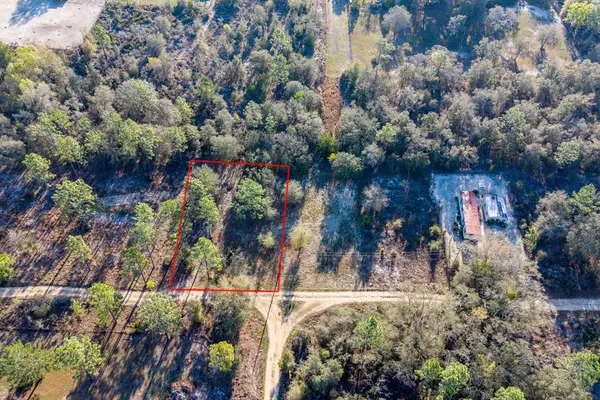 000 NE 134th Ct, Williston, FL 32696