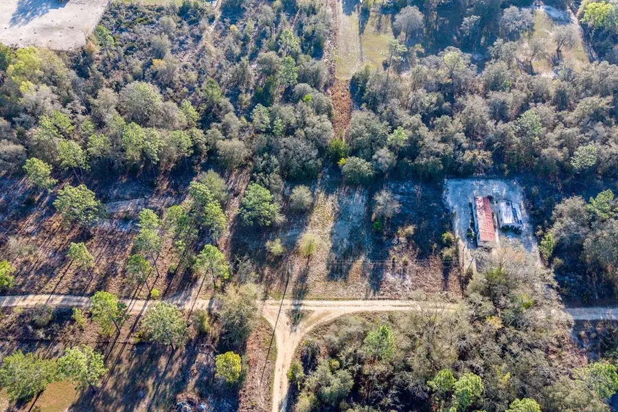 000 NE 134th Ct, Williston, FL 32696 - #2