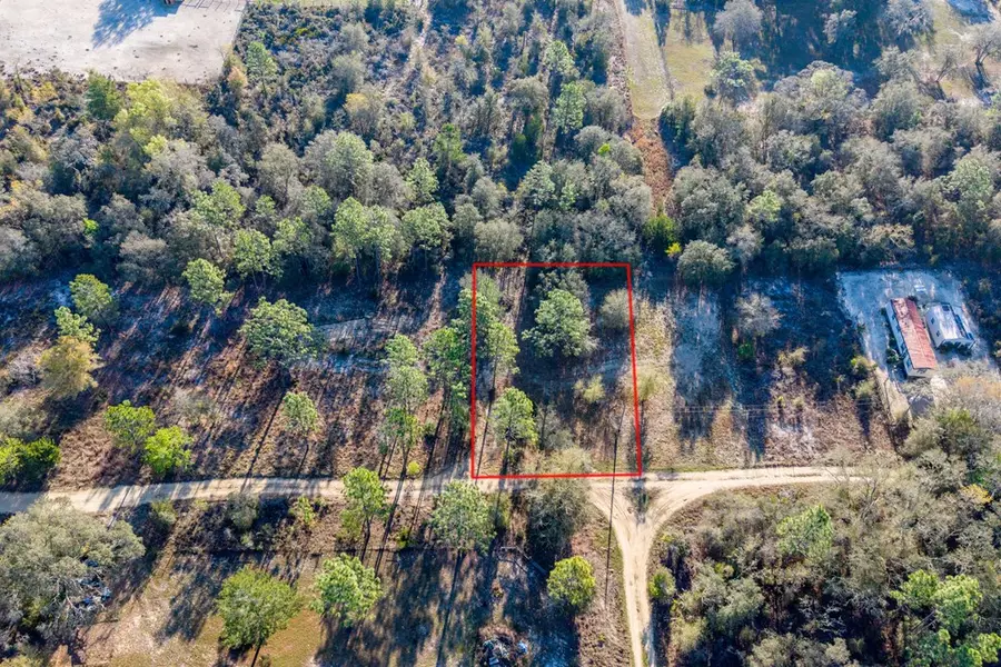 000 NE 134th Ct, Williston, FL 32696 - #3