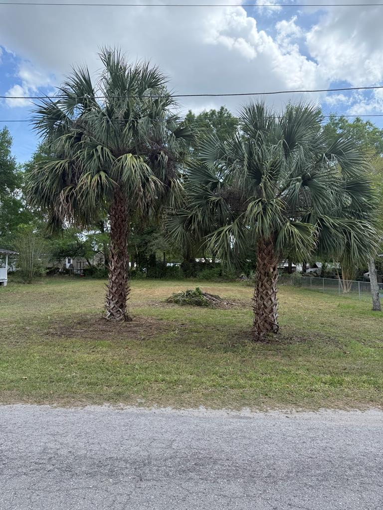 Lot 1 NE 7th Ave, Trenton, FL 32693 - #1