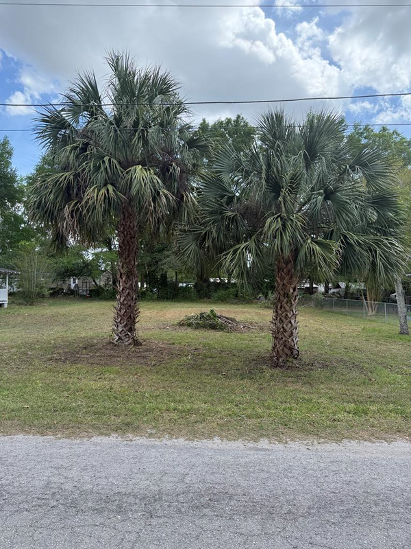 Lot 1 NE 7th Ave, Trenton, FL 32693