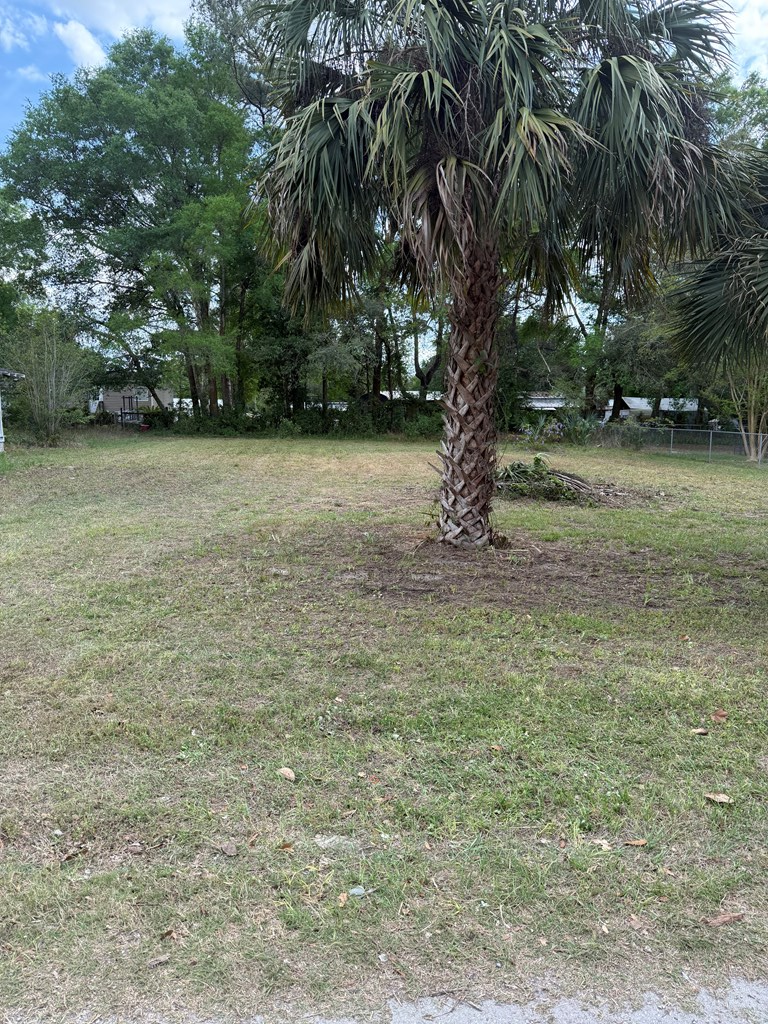 Lot 1 NE 7th Ave, Trenton, FL 32693 - #2