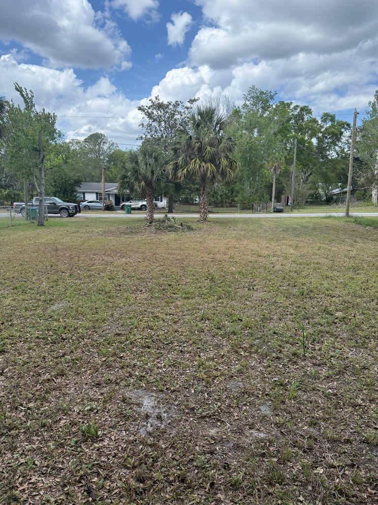 Lot 1 NE 7th Ave, Trenton, FL 32693 - #3