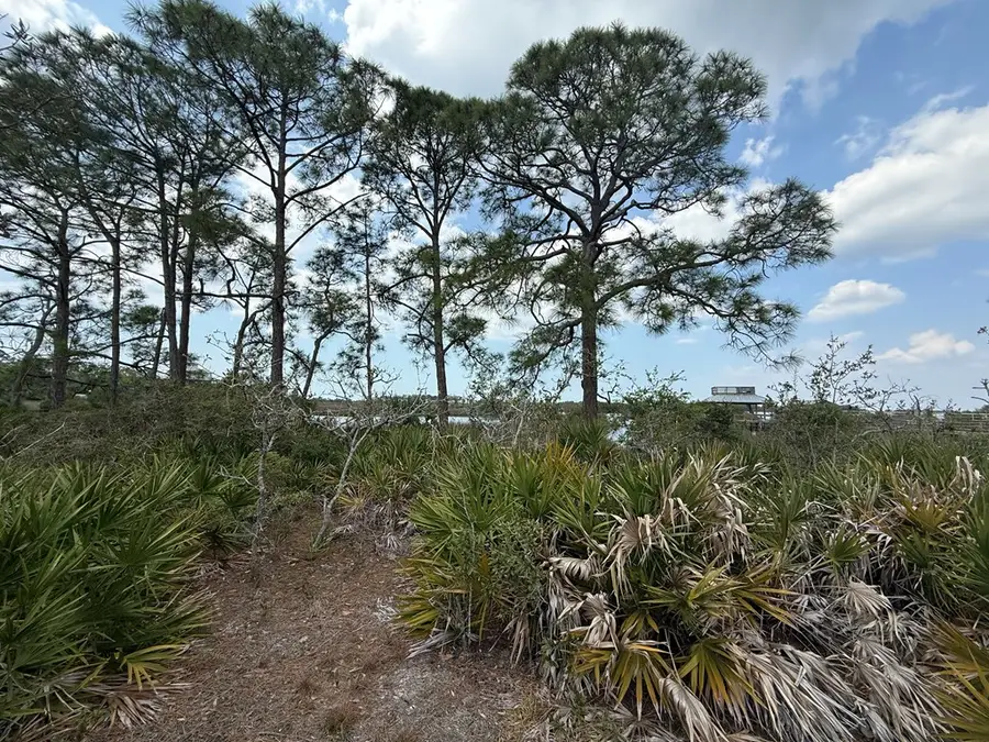 Lot 10 Anna St, Cedar Key, FL 32625 - #3