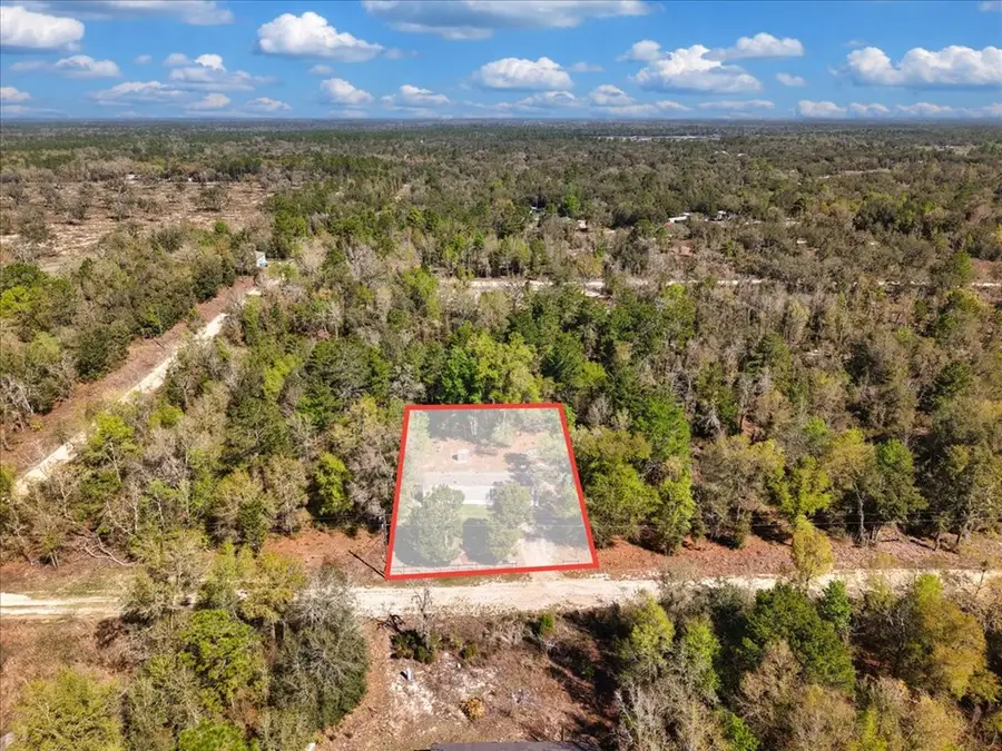 11061 NE 65th Ln, Williston, FL 32696 - #3