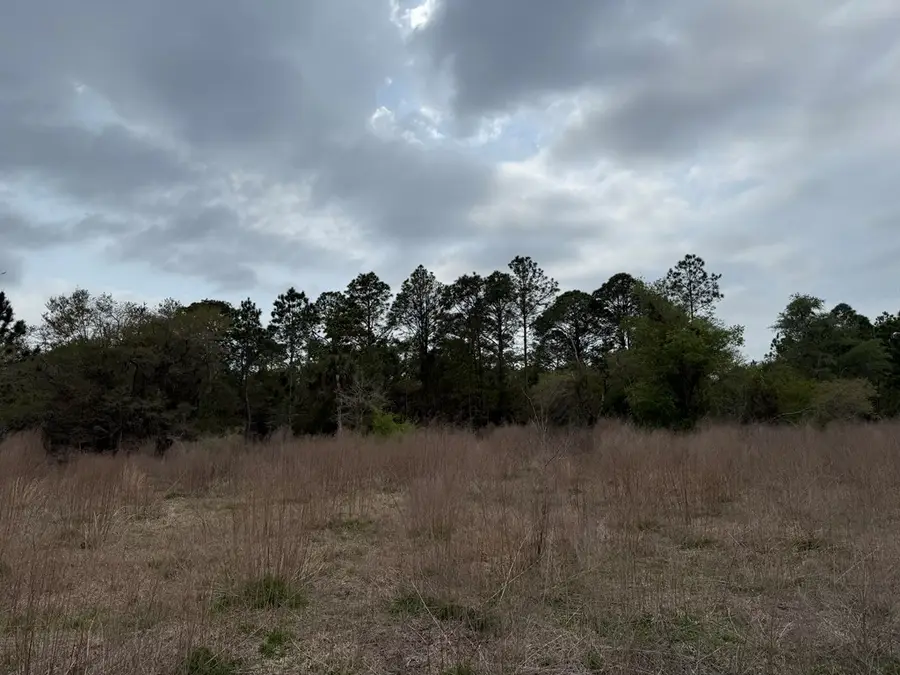 9564 N Not Named, Dunnellon, FL 34430 - #2