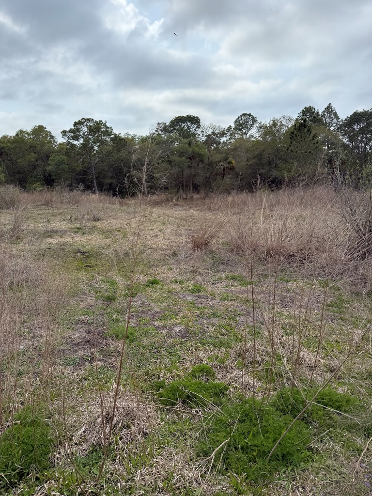 9564 N Not Named, Dunnellon, FL 34430 - #3