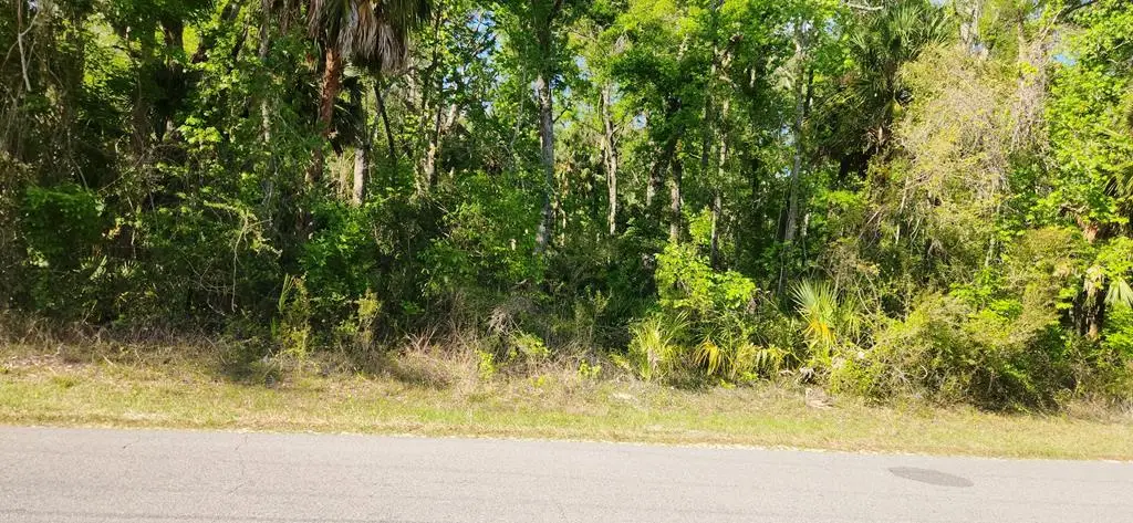 383 NE 209th Ave, Old Town, FL 32680 - #1