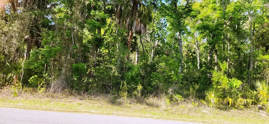 383 NE 209th Ave, Old Town, FL 32680 - #2