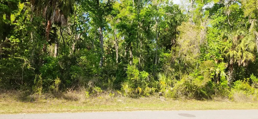 383 NE 209th Ave, Old Town, FL 32680 - #3