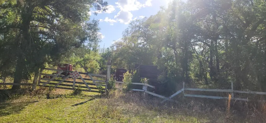 408 278th Ave, Old Town, FL 32680 - #1