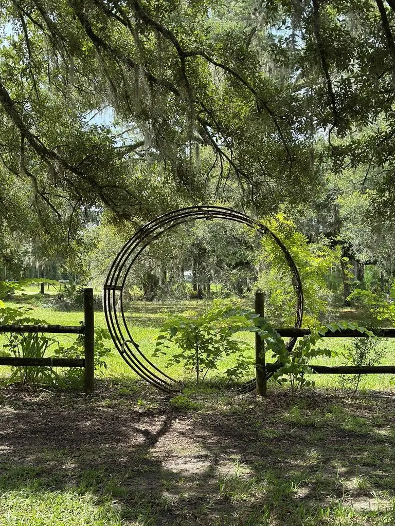 535 NE 394th Ave, Old Town, FL 32680 - #2