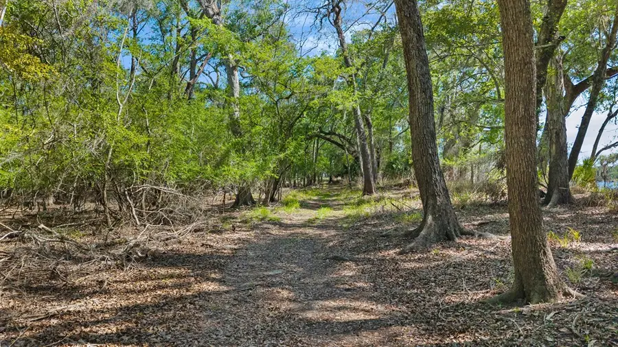 Riverview Rd, Fanning Springs, FL 32693 - #2