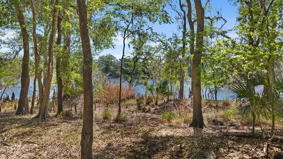 Riverview Rd, Fanning Springs, FL 32693 - #3