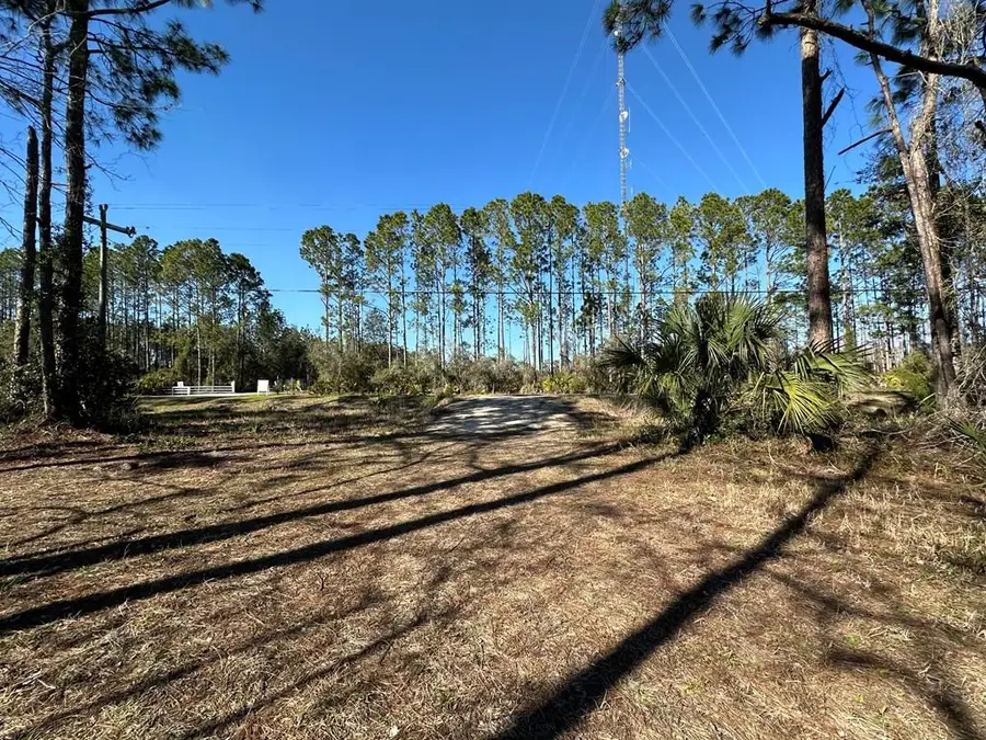 SE 851st Ave, Cross City South, FL 32692 - #3